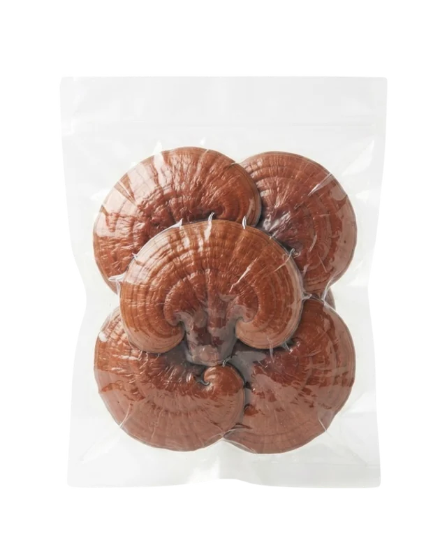 Ganoderma Entero deshidratado al por mayor
